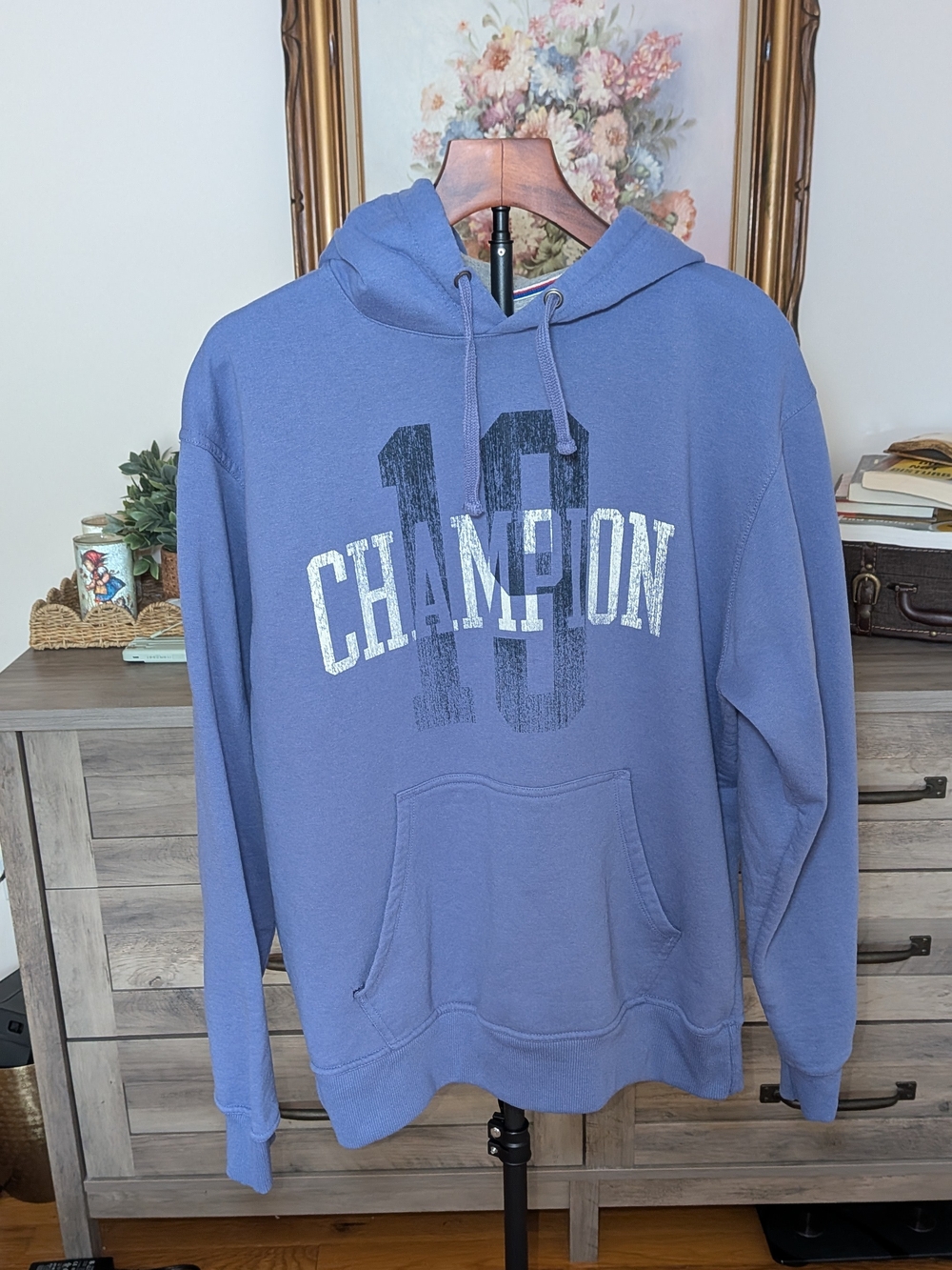 Champion Blue Pullover Hoodie Size M Distressed Graphic Sweatshirt 21.5” PTP